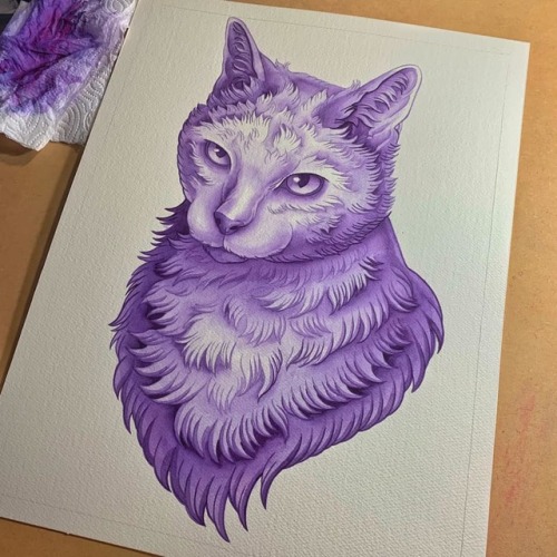 Kittoh underpainting - I’m currently available for pet portrait commissions, or any other custom art