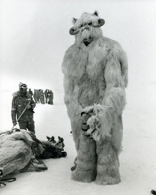 Wampa (via Star Wars)