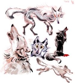 milsae:  wolf doodling