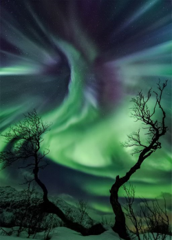 the-wolf-and-moon:  Nordic Aurora 