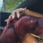 demitraswife
