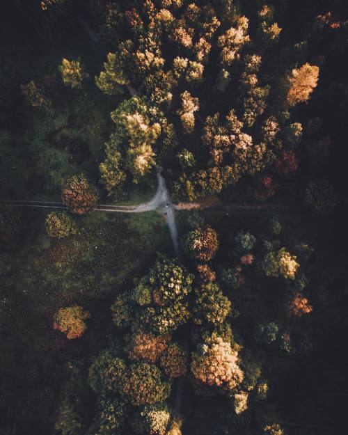 bon—-voyage: Daniel Casson