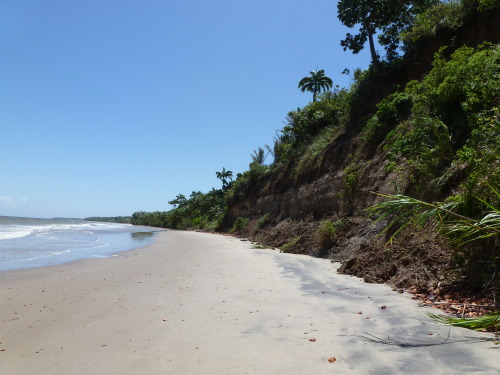 Trinidad and Tobago