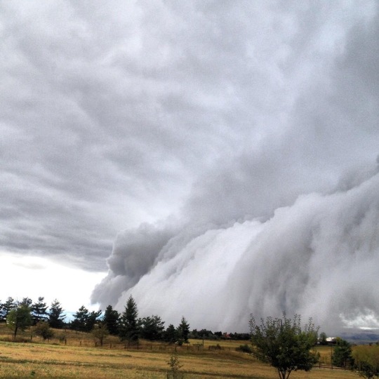 deebott:  lawful-evil-novelist: celticpyro:  maureen2musings:  So this just happened! Scary clouds passing through Anna, Illinois iuriebelegurschiLicensed 🎥 video by Maranda Marie Benefield So anyone else here seen “The Mist”?  All I could think