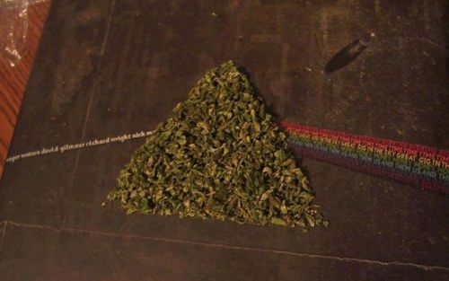 all we need is love&weed
