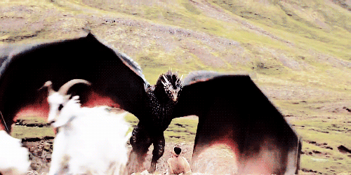 aegors-blog:They’re dragons.They can’t be tamed.