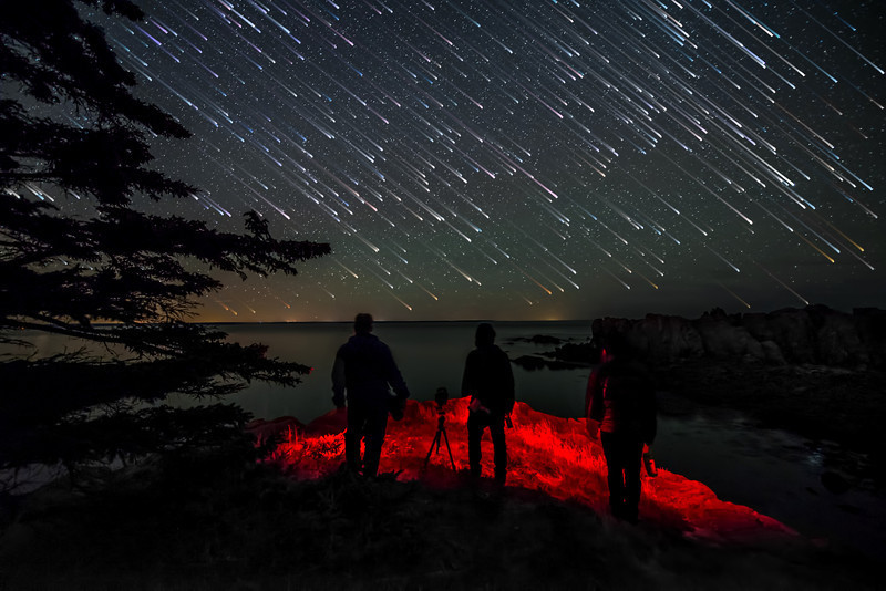 sci-universe:Photographer Mike Taylor uses different techniques to capture the movement