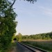 thingssthatmakemewet:Such a beautiful day for a beautiful wedding with my favorite