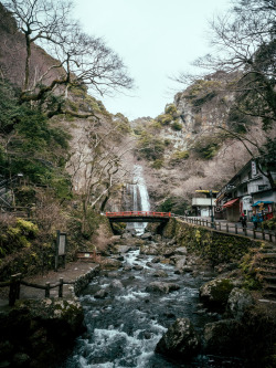aho-chan:  japanesecontent: (by Hazrul Idzwan)