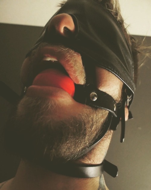 Porn photo Bound and Gagged Men