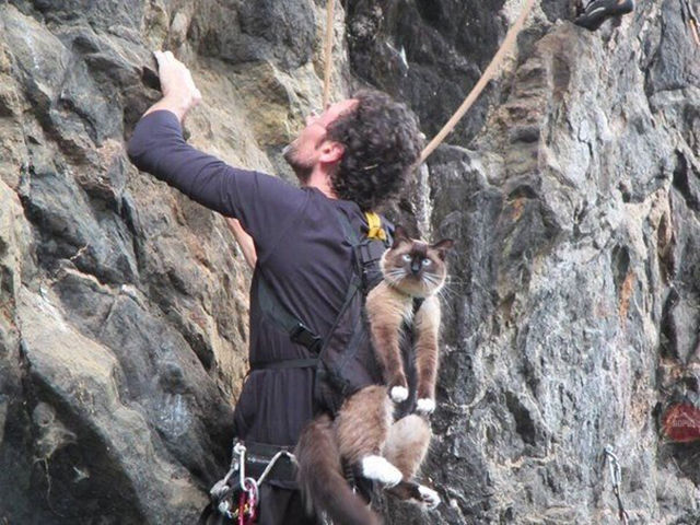climbing, cycling and anything else