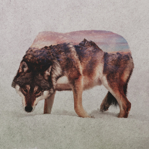 victoriousvocabulary:  YĔ [adjective] 1. wild; untamed. 2. brutal. 3. rude; boorish. Etymology: Chinese 野. [Andreas Lie] 
