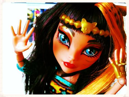 ~ lovely &ldquo;Cleolei&rdquo;, now named Mago, sends her best wishes to everyone and says t