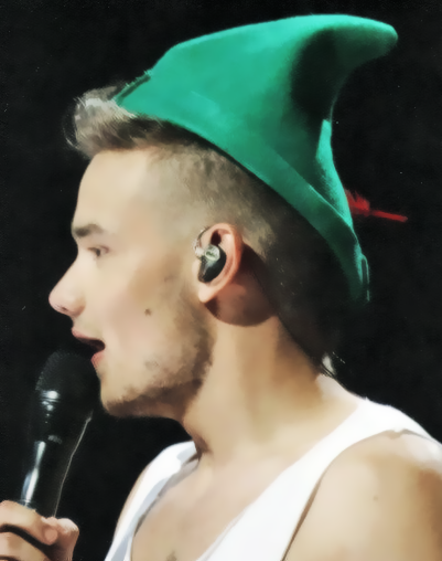  Liam Payne Alphabet: H → hats 