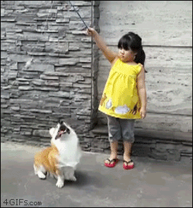 56c2686212bb29551383289d582cec0d9dab5c07