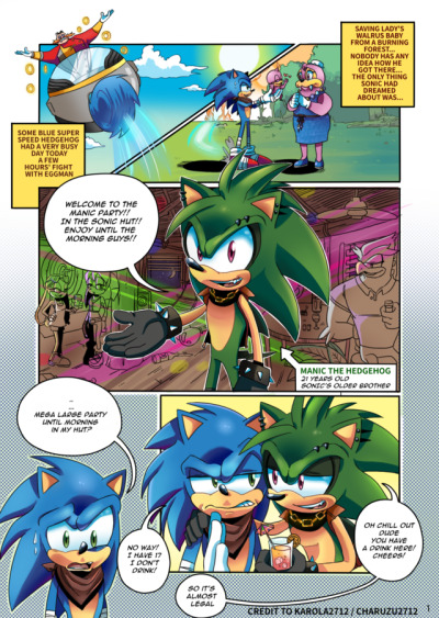 Sonic The Hedgehog by Charuzu2712  Hedgehog art, Sonic the hedgehog, Sonic  fan art