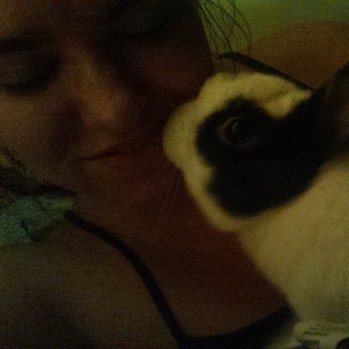 Kisses. #InstaBunnies #BunnyLife #Bunnies porn pictures