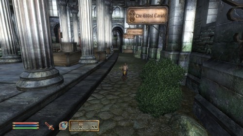 garbage-wizard:So I started a new game in Oblivion but I messed around with console commands at the 