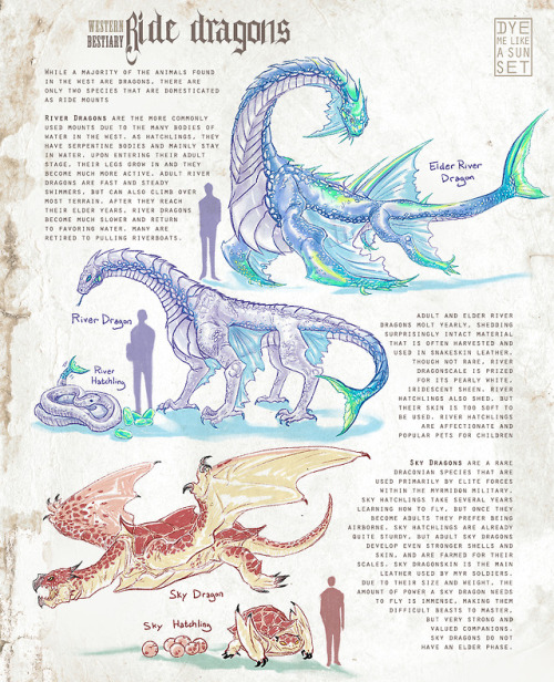 actually the info on dragon this time is 👀 | Tumblr