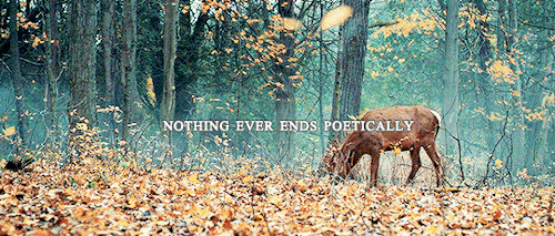 starlingshrike: - kait rokowski