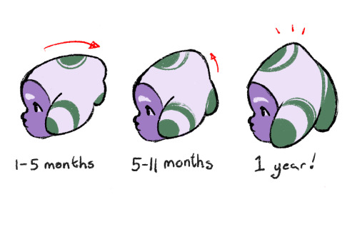 Togruta Lekku/montral Development Ideas?? Based This Off Of Kittens And How Functionally The Montrals