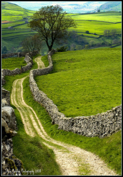 wanderthewood:  Yorkshire Dales, England by www.ColdrayPhotography.co.uk 