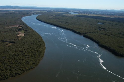 Mangroves and Ocean AcidificationOcean acidification is a result of large quantities of carbon-dioxi