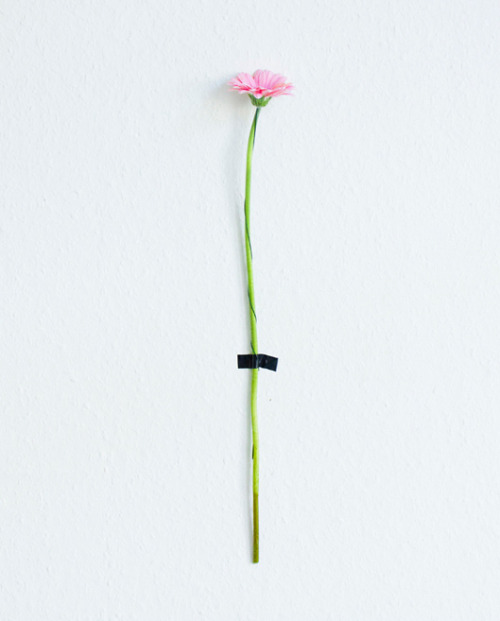 nevver:  You can send me dead flowers every morning 