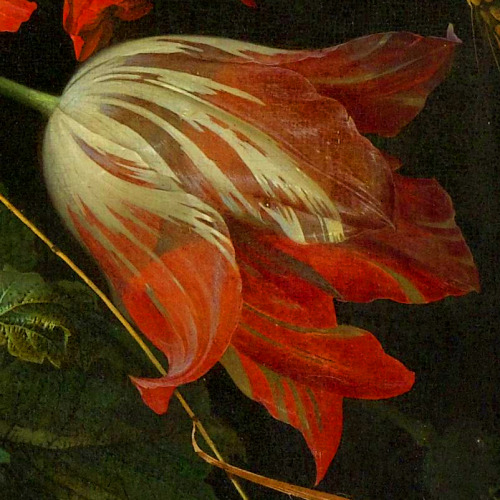 clara–lux:MIGNON, Abraham (1640–1679) Flower still life with cat etc., detailscirca 1670Oil on