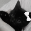 darlinlou