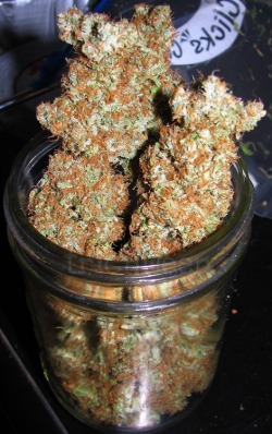 everywherekush:  follow: http://everywherekush.tumblr.com