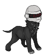 djingo:    daft…. pups…….