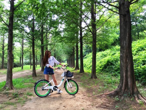 Seoul has some fun bike-friendly spots, including Haneul Park’s Metasequoia Trail and Yeouido Park.S