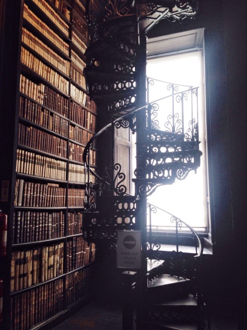 theclassylawblr: This library moved me to tears.