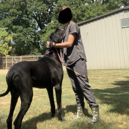 LOOK AT THE SHEER SIZE OF MY COWORKERS DOG