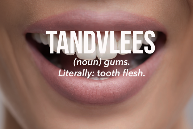 buzzfeed:  Dutch words you should know. [x] 