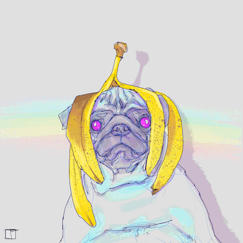 Phazed