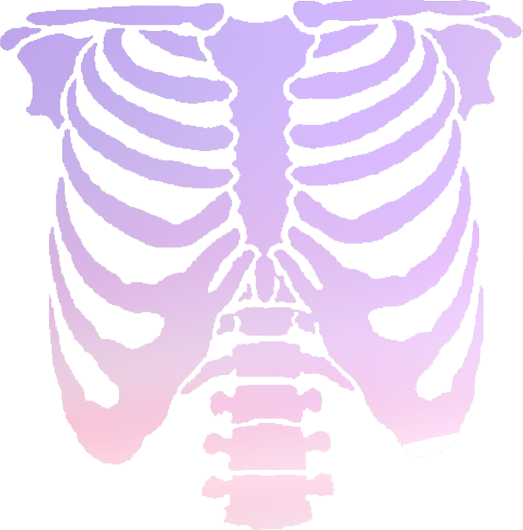 frnkolantern:  pastel ribcage