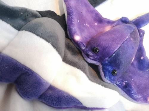 sosuperawesome:Pride Galaxy Manta RaysprideNplush on Etsy