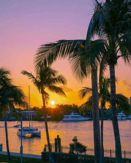 miami-feelings:Fort Lauderdale, Florida by @fiorellinarossa xx
