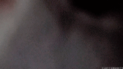 clutterbooty:   the walking dead meme » [1/10] anything  the first and last forty frames of each season 
