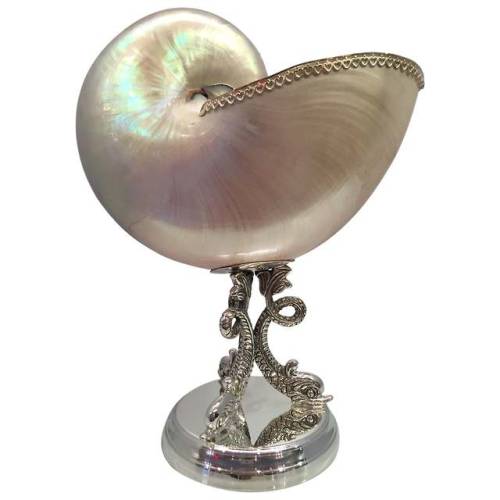 seaymphea: italian sterling silver-mounted mother-of-pearl nautilus shell.