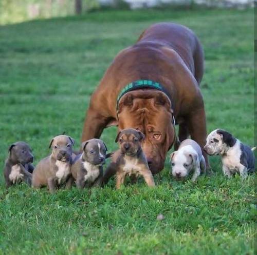 sweettastingsin:  angel-kiyoss:  wow!  Love this!