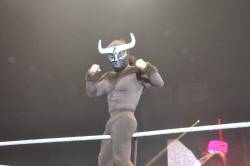 rwfan11:  El Torito- bulge shot ….I guess BIG things really do come in small packages! ;-)  Well damn!