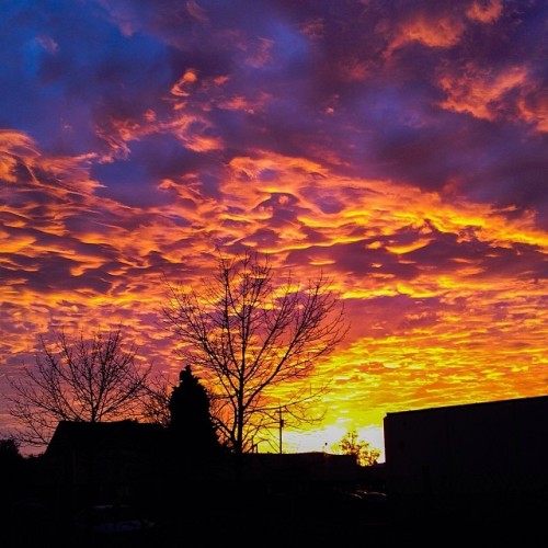 amberwharsh:  #sunset #oregon #amberwharsh