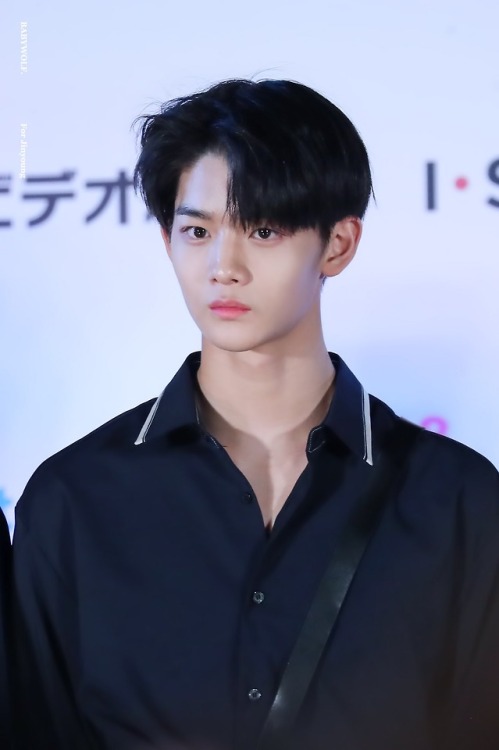 © BABYWOLF