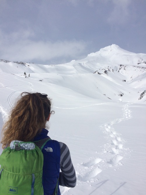 Snowshoeing out of White River Sno Park @olivyy