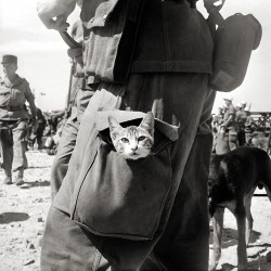 historicaltimes:A French Legionnaire carries