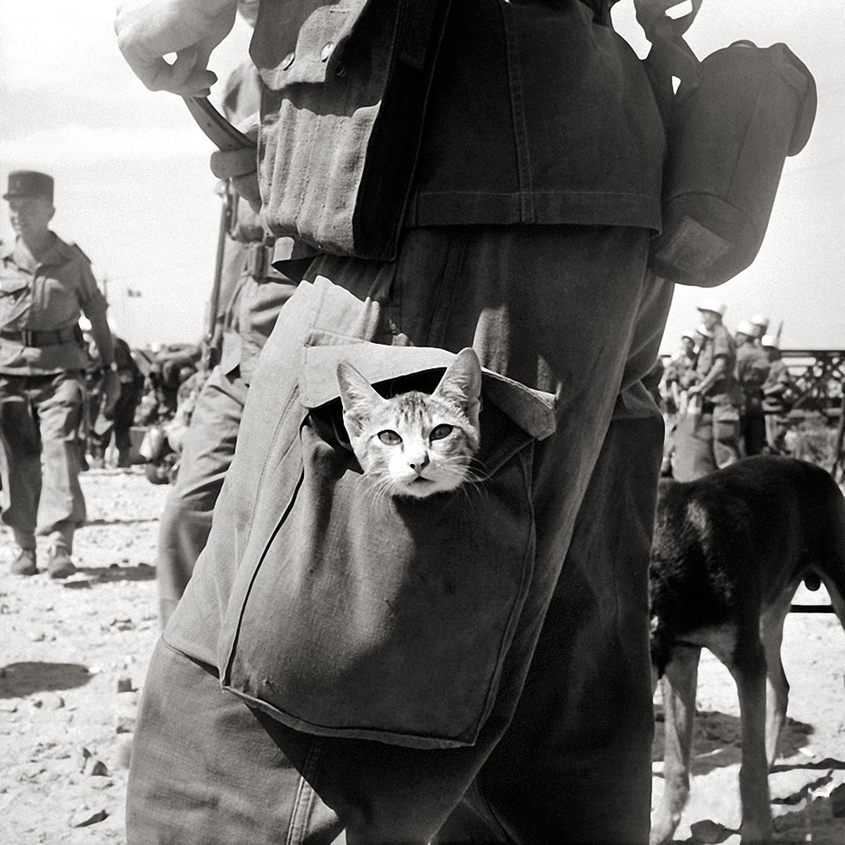 enrique262:   Legionnaire   carrying a kitten in his leg pouch, French Indochina,