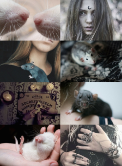 theslutterhouse:  mypieceofculture: Animal Witch Aesthetics // Rat Witch Requested Owl Witch | Bat Witch | Bear Witch | Stingray Witch | Dog Witch @squishiepiggies 